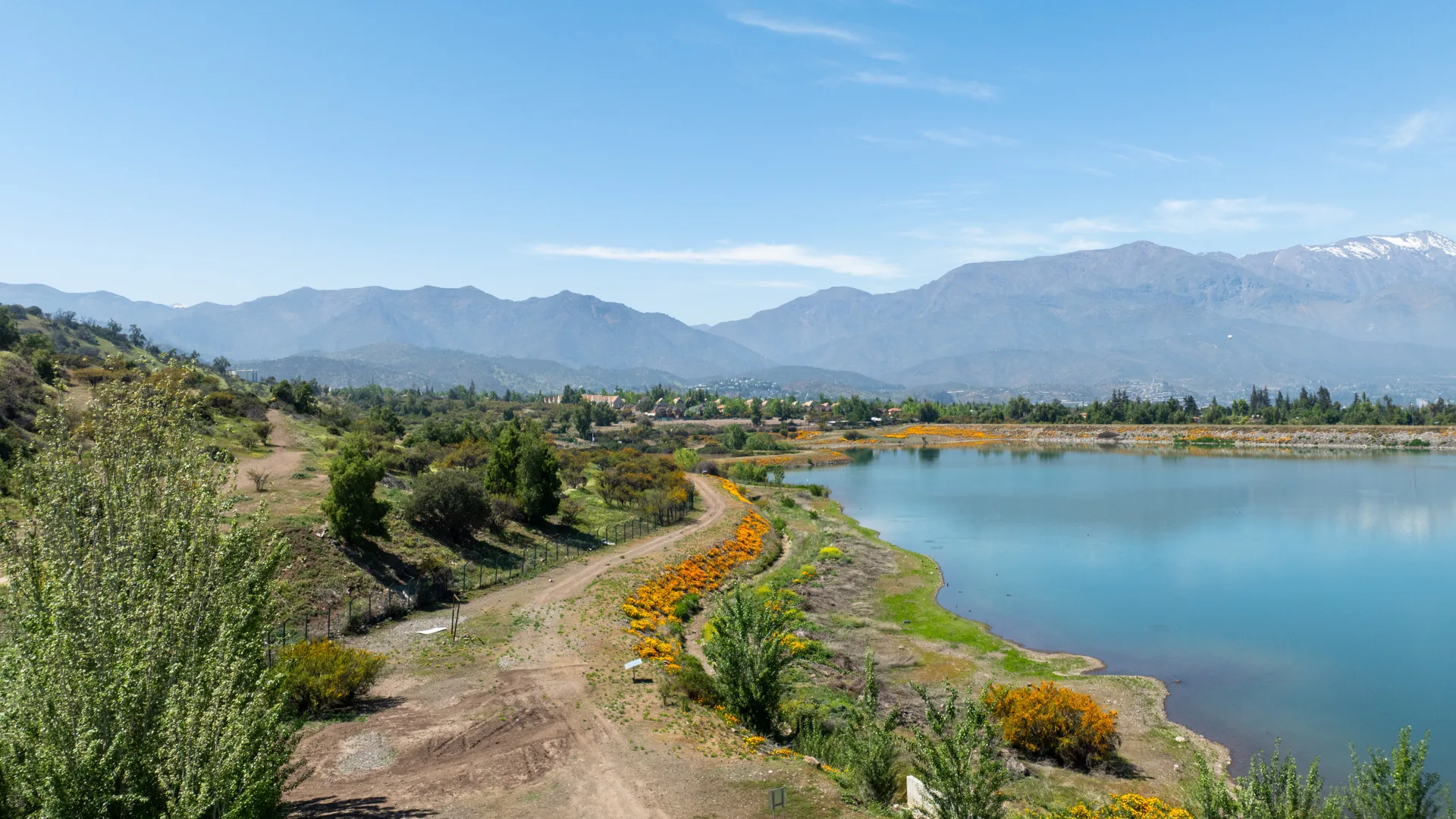 Laguna Andina